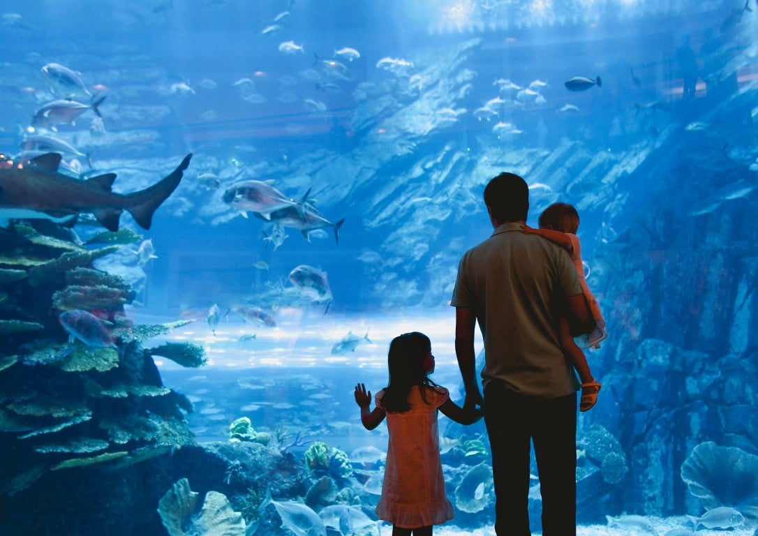 aquarium en famille